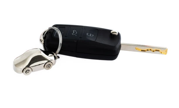 Chaveiro para chaves codificadas em Araucária Chaveiro para chaves codificadas em Araucária